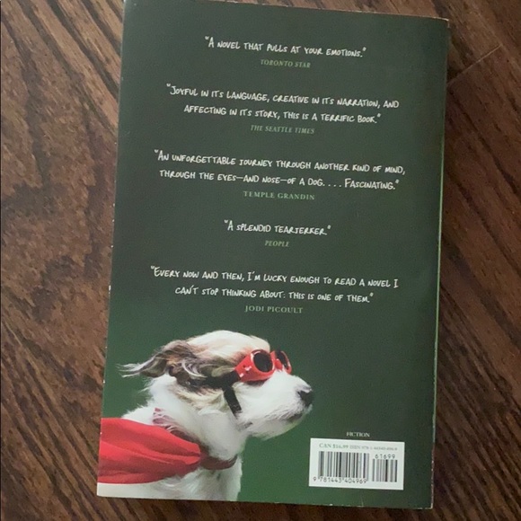 The Art of Racing in the Rain - Picture 3 of 3